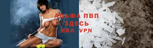 стафф Алексин