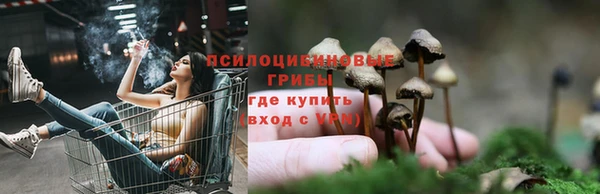 каннабис Алзамай