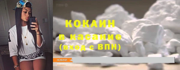 стафф Алексин